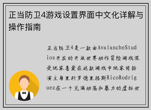 正当防卫4游戏设置界面中文化详解与操作指南